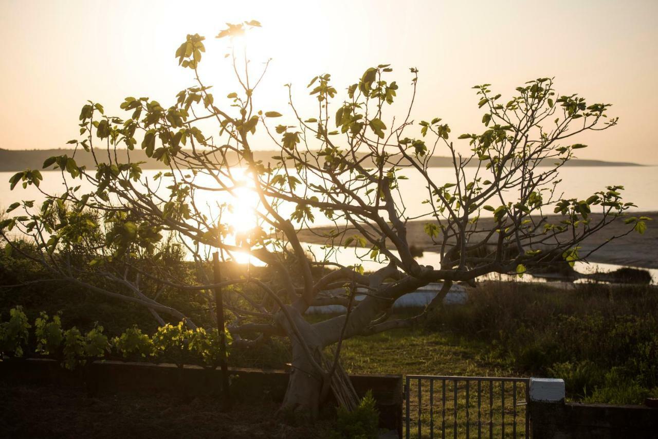 Holiday House Sunset Ljubač Εξωτερικό φωτογραφία